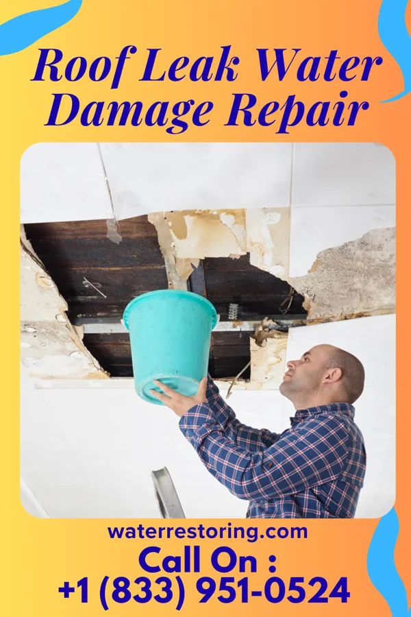 Roof Leak Water Damage Repair in Plumas Eureka, CA